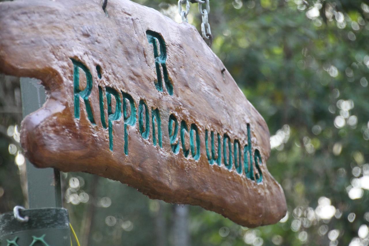 Rippon Eco Woods Villa Kalpetta Eksteriør billede