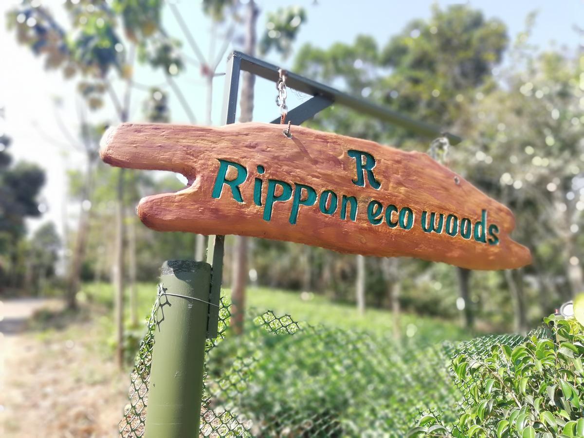 Rippon Eco Woods Villa Kalpetta Eksteriør billede