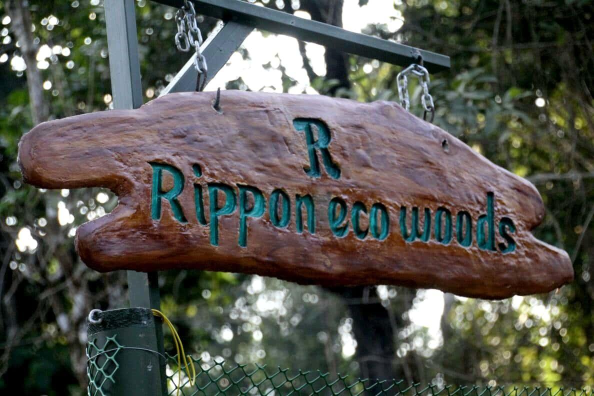 Rippon Eco Woods Villa Kalpetta Eksteriør billede